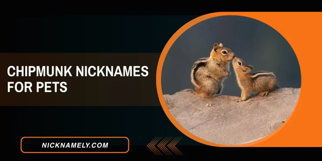 Chipmunk Nicknames For Pets