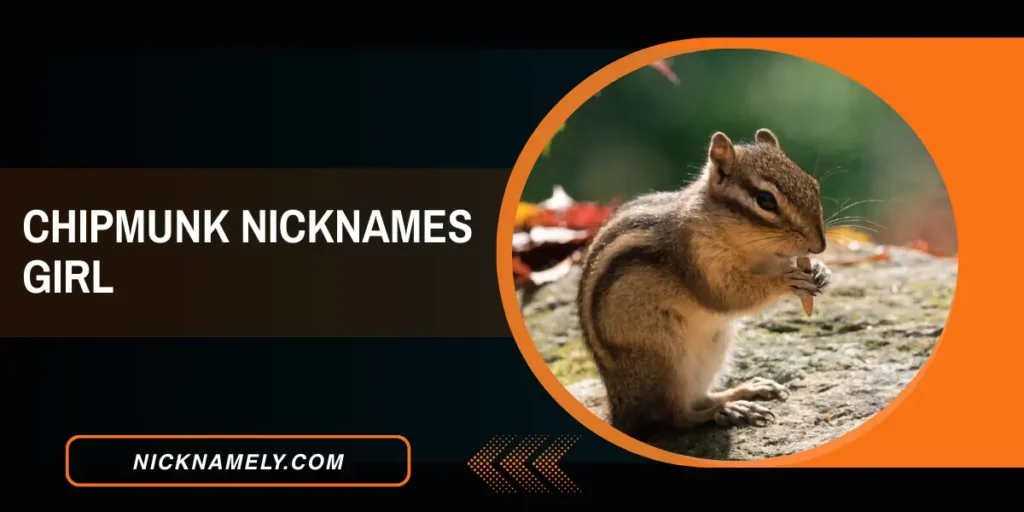 Chipmunk Nicknames Girl