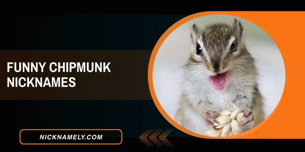Funny Chipmunk Nicknames