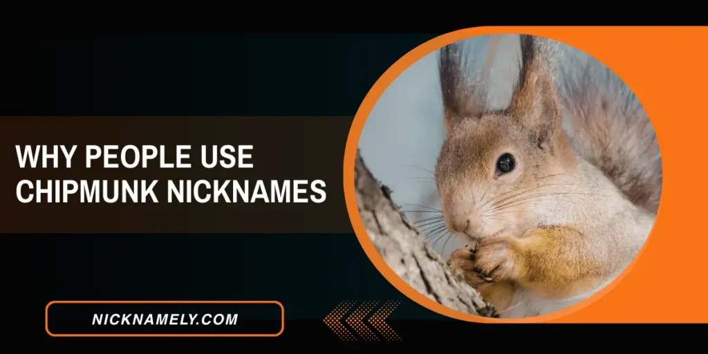 Why People Use Chipmunk Nicknames