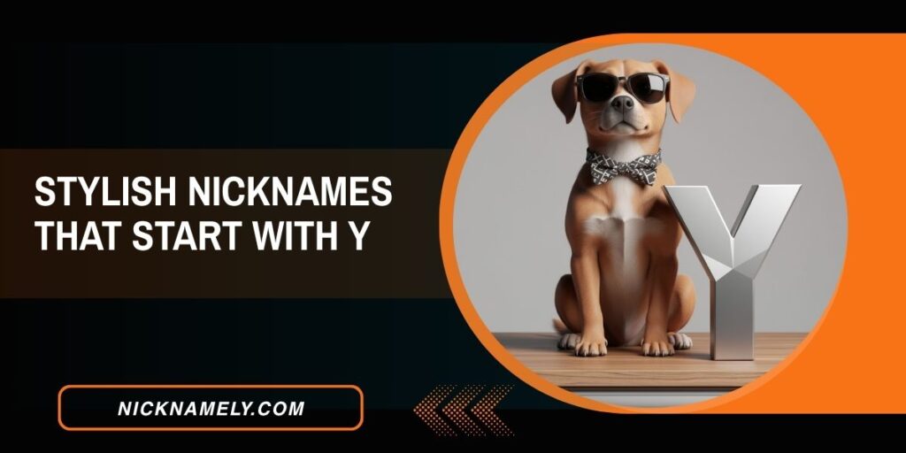 Stylish Nicknames That Start With Y